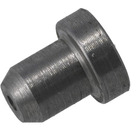 Gicleur ZETOR 100020220