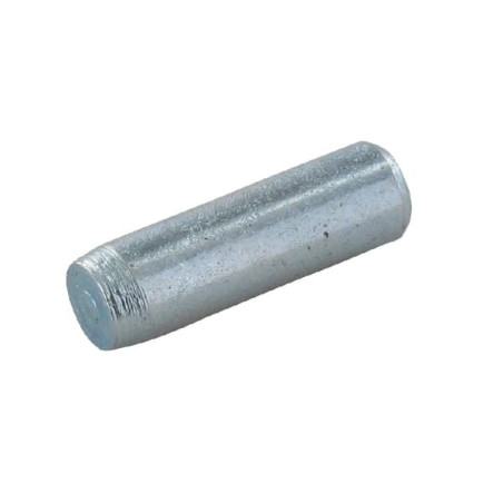 Goujon GOPART FGP455302GP