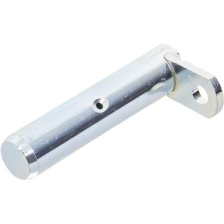 Goupille RAICO T581301