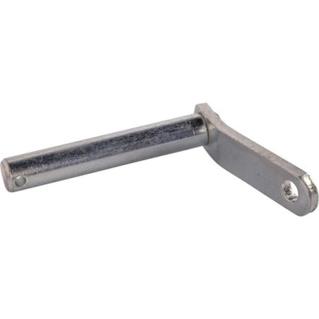 Goupille GOLDONI 00007550