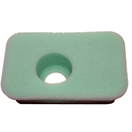 FILTRE à AIR Briggs et Stratton 270067