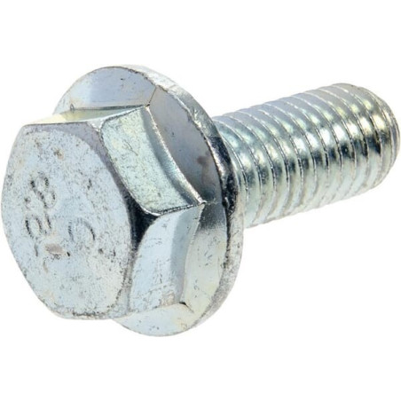 Vis AS-MOTOR G00009108
