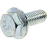 Vis AS-MOTOR G00009108