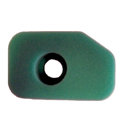 FILTRE à AIR Briggs et Stratton 270251