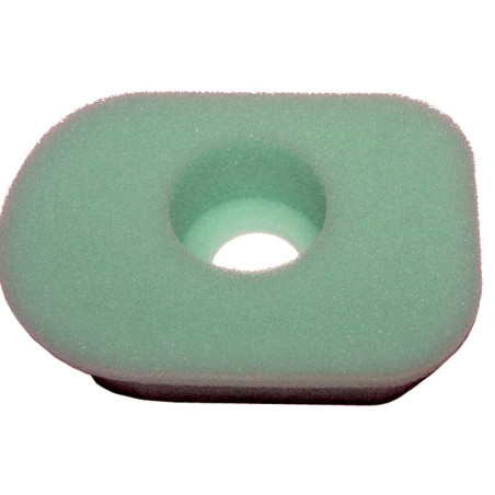 FILTRE à AIR Briggs et Stratton 270579