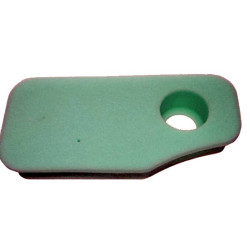 FILTRE à AIR Briggs et Stratton 270843