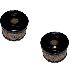 FILTRE à AIR Briggs et Stratton 390492 / 496047