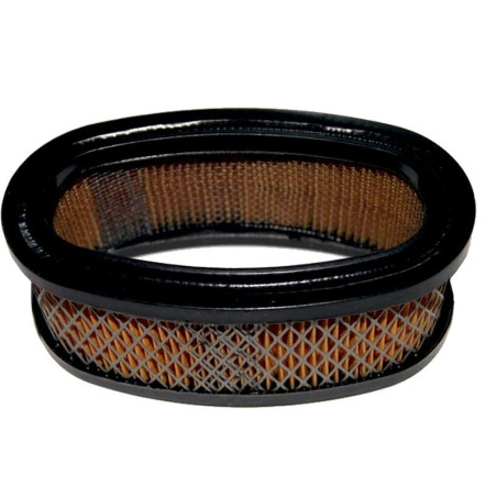 FILTRE à AIR Briggs et Stratton 393406
