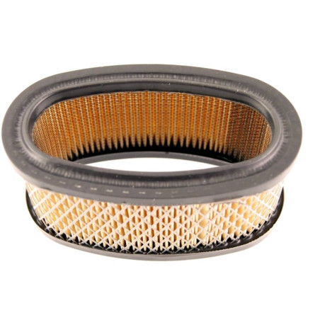 FILTRE à AIR Briggs et Stratton 393725