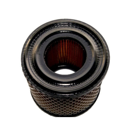 FILTRE à AIR Briggs et Stratton 393957 / 390930