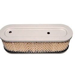 FILTRE à AIR Briggs et Stratton 399806 / 491519