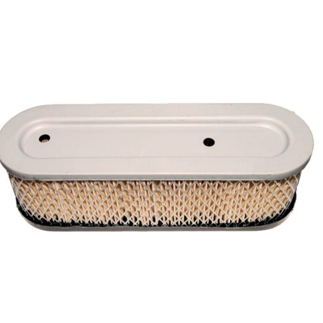 FILTRE à AIR Briggs et Stratton 399806 / 491519
