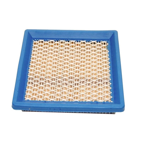 FILTRE à AIR Briggs et Stratton 399877