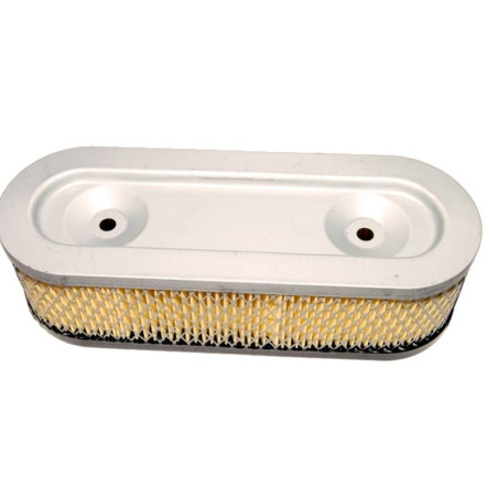 FILTRE à AIR Briggs et Stratton 399968