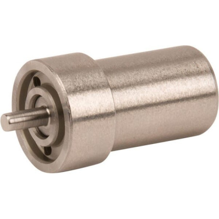 Injecteur LOMBARDINI 6531468