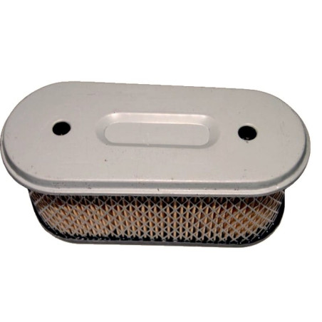 FILTRE à AIR Briggs et Stratton 491021