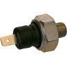 Interrupteur LOMBARDINI ED0050412670S