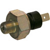 Interrupteur LOMBARDINI ED0050412670S