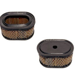 FILTRE à AIR Briggs et Stratton 494586 / 497725