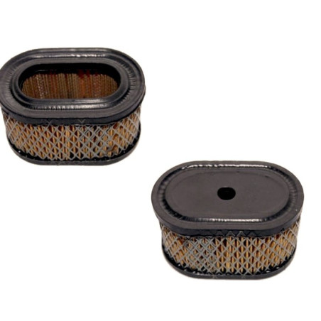 FILTRE à AIR Briggs et Stratton 494586 / 497725