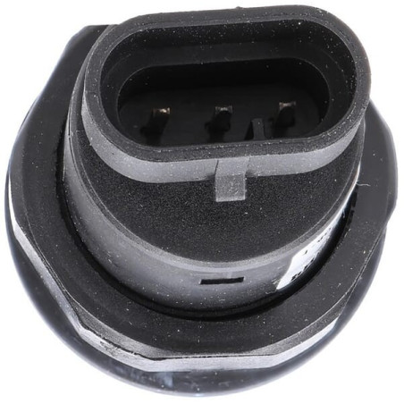 Interrupteur PNEUTRON 11911001PN