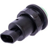 Interrupteur PNEUTRON 11900306PN