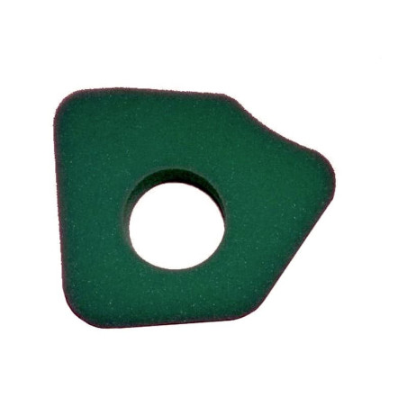FILTRE à AIR Briggs et Stratton 794071