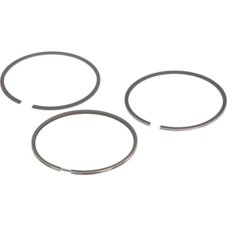 Segments FENDT F199204310030