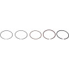 Segments HONDA 13010ZDJD01
