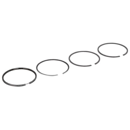 Segments SDF 2233074