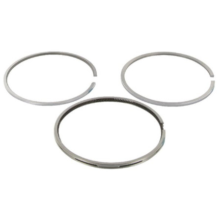 Segments CASE IH 3139594R91