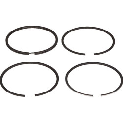Segments LOMBARDINI 8210055