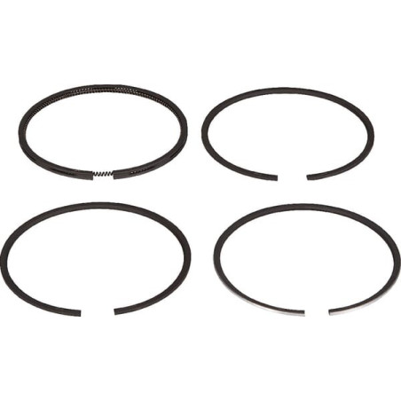 Segments LOMBARDINI 8210055