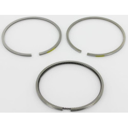 Segments LOMBARDINI 8211141