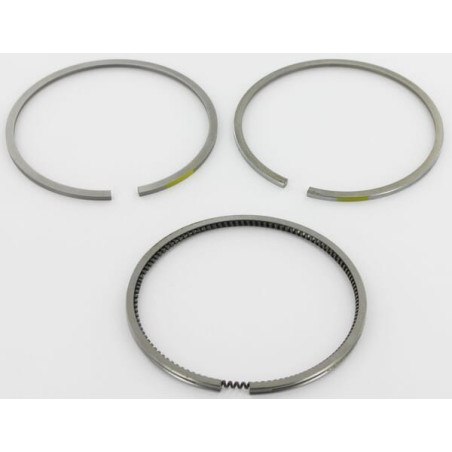 Segments LOMBARDINI 8211141