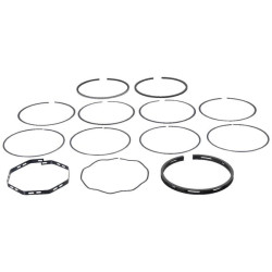 Segments UNIVERSEL 81717647N