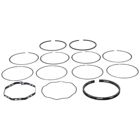 Segments UNIVERSEL 81717647N