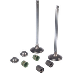 Jeu de soupapes JOHN DEERE RE557891
