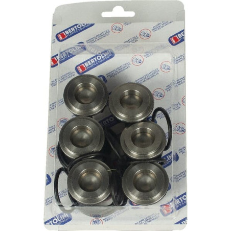 Jeu de soupapes BERTOLINI 359870973