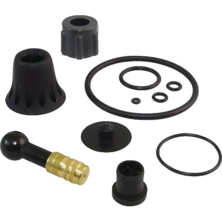Kit de réparation et joints BIRCHMEIER 11614801SBBIR