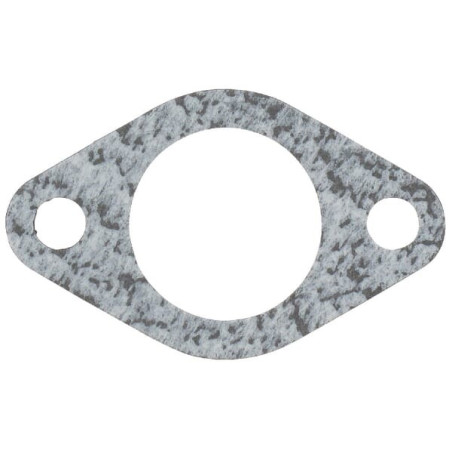 Joint BRIGGS ET STRATTON 800040