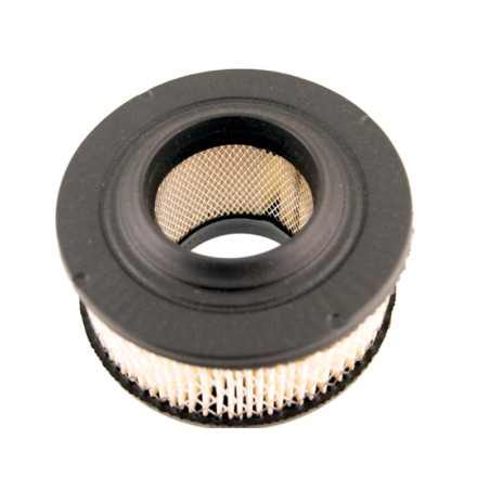 FILTRE à AIR Homelite 46073