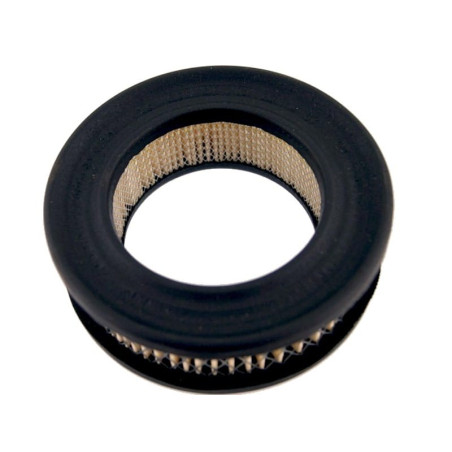 FILTRE à AIR Homelite 46687