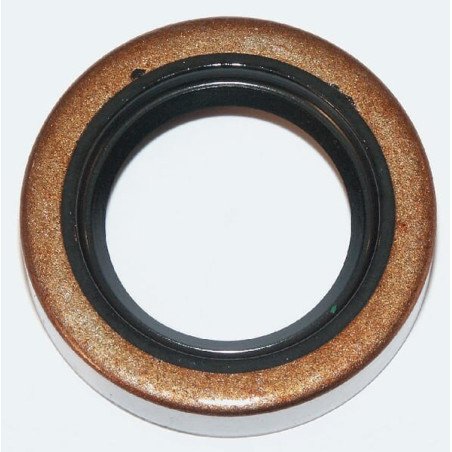 Joint BRIGGS ET STRATTON 391485