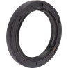 Joint BRIGGS ET STRATTON 491019