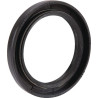 Joint BRIGGS ET STRATTON 491019
