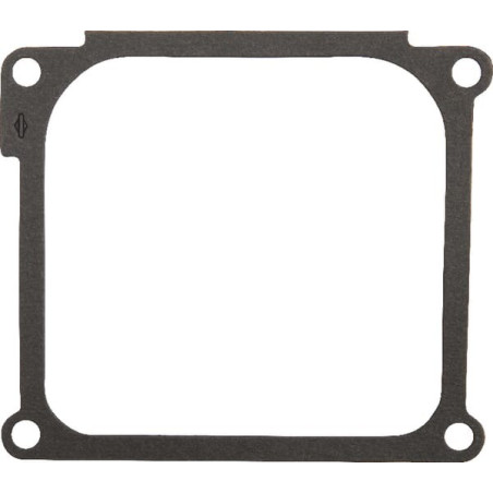 Joint BRIGGS ET STRATTON 272063