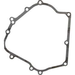 Joint BRIGGS ET STRATTON 710216