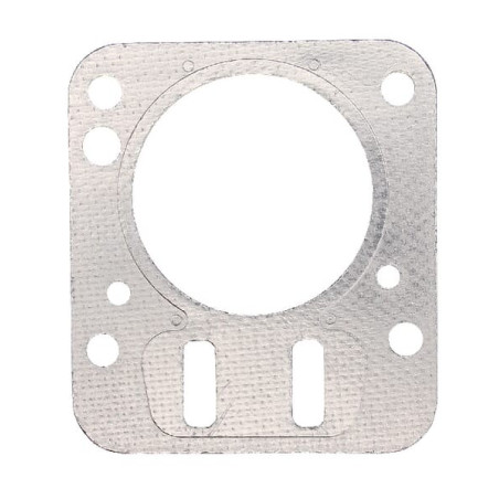 Joint BRIGGS ET STRATTON 698210