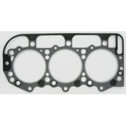 Joint GLASER DANA 81819541N